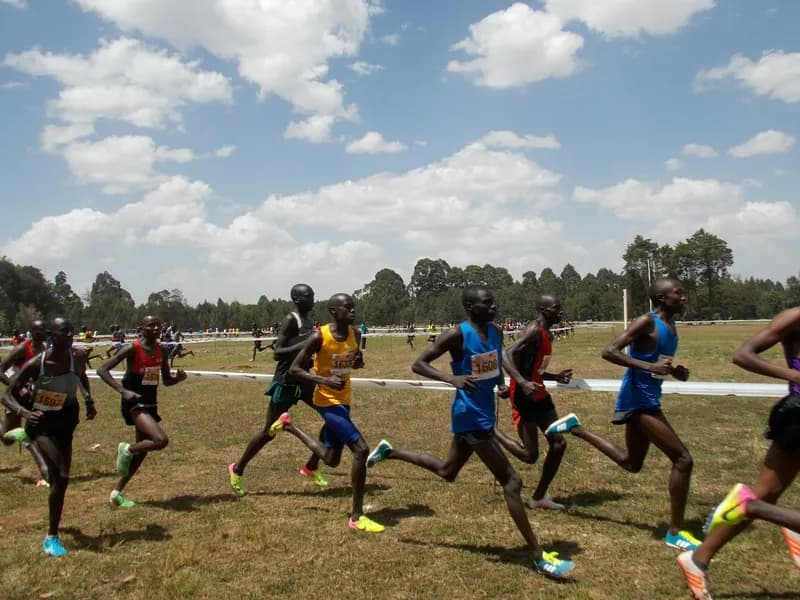 Group of male runners in race bibs racing across grassy field