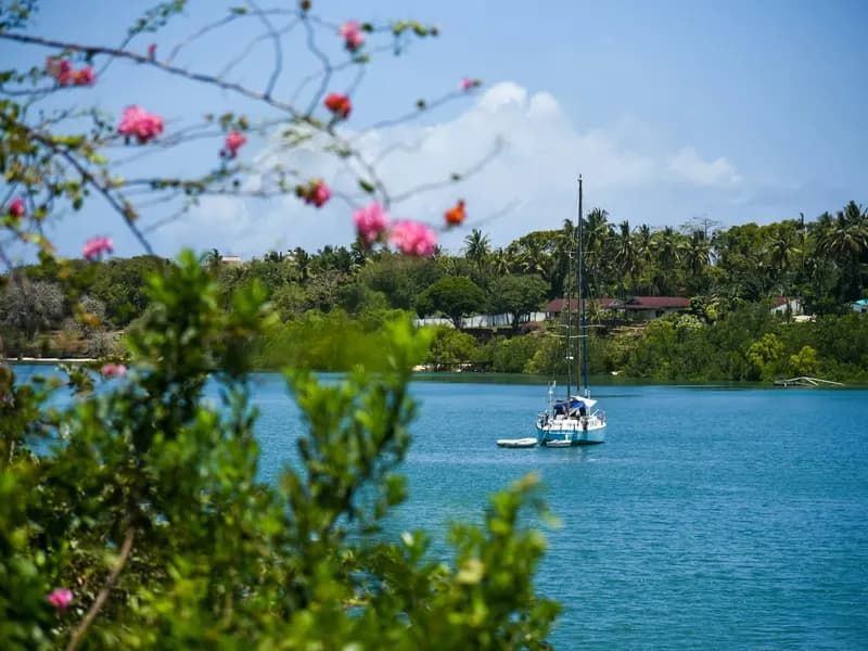 Sailboat anchored in a calm turquoise bay with tropical trees along the shore